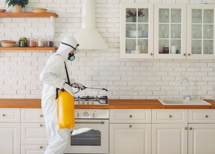 Behandlung von Bettwanzen in Biel 2501