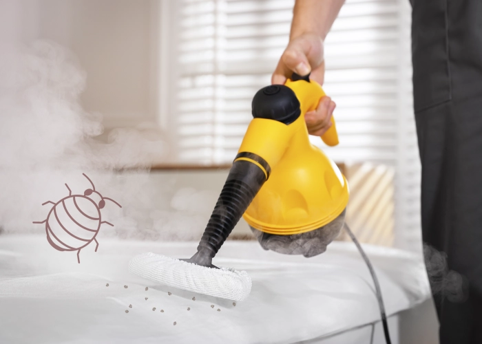 Behandlung von Bettwanzen in Emmen 6032